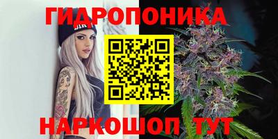 прущая мука Заволжье